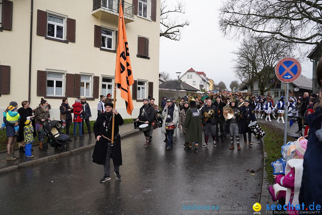 Fasnetsumzug: Heiligenberg am Bodensee, 08.01.2023