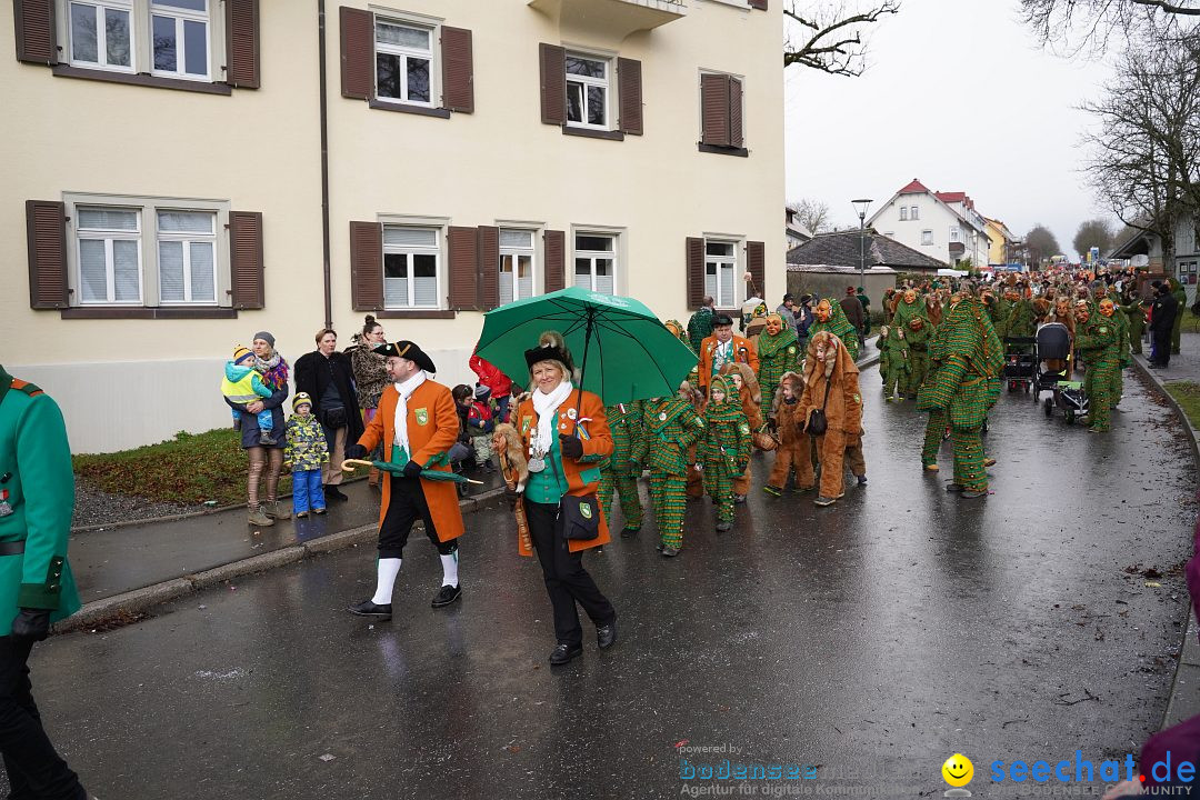 Fasnetsumzug: Heiligenberg am Bodensee, 08.01.2023