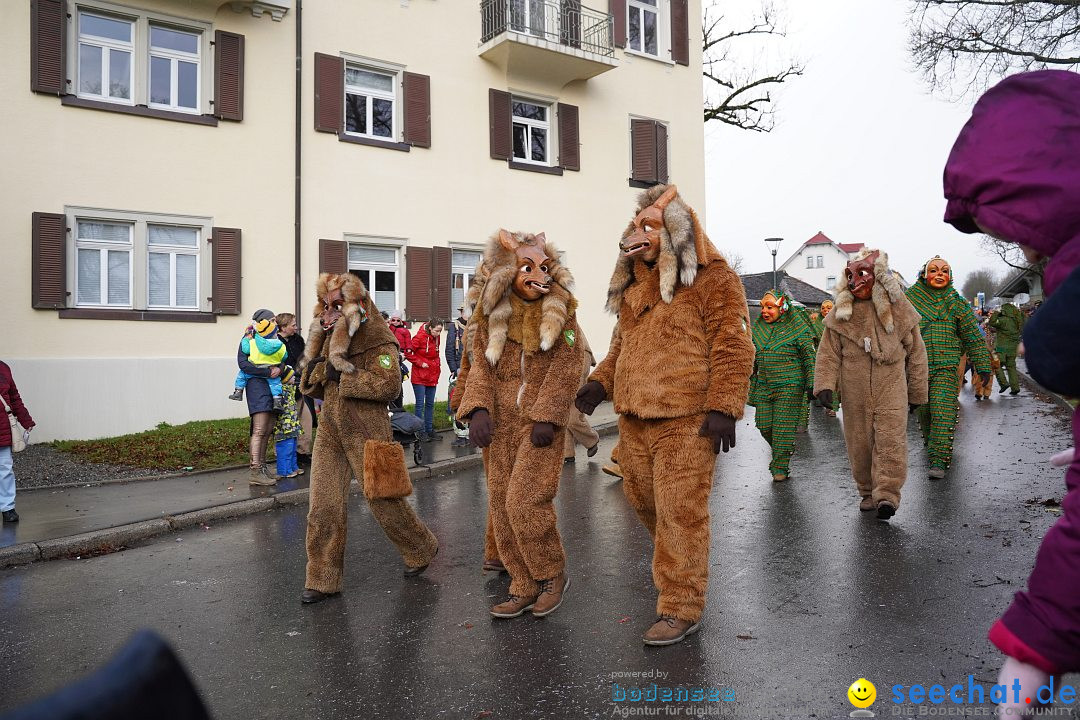 Fasnetsumzug: Heiligenberg am Bodensee, 08.01.2023