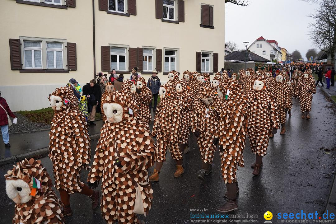 Fasnetsumzug: Heiligenberg am Bodensee, 08.01.2023