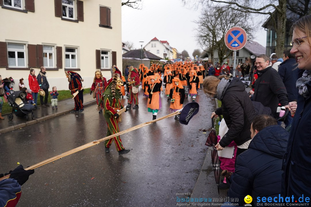 Fasnetsumzug: Heiligenberg am Bodensee, 08.01.2023