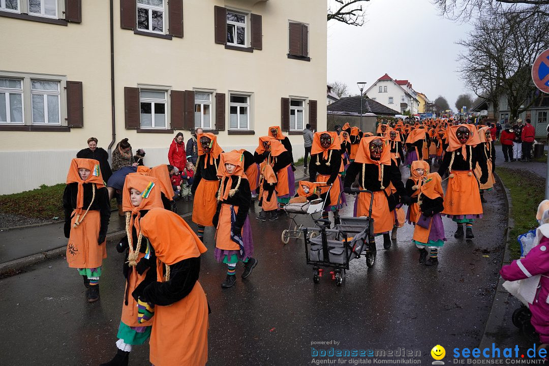 Fasnetsumzug: Heiligenberg am Bodensee, 08.01.2023