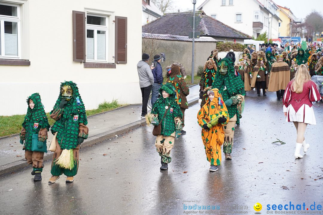 Fasnetsumzug: Heiligenberg am Bodensee, 08.01.2023