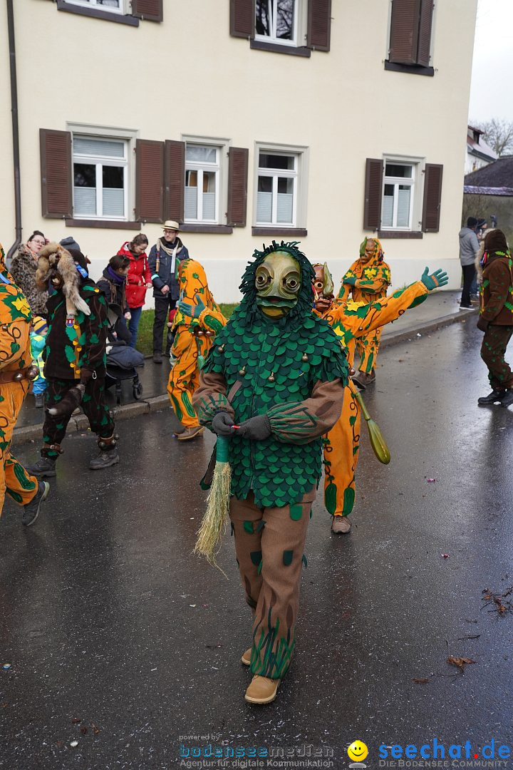 Fasnetsumzug: Heiligenberg am Bodensee, 08.01.2023