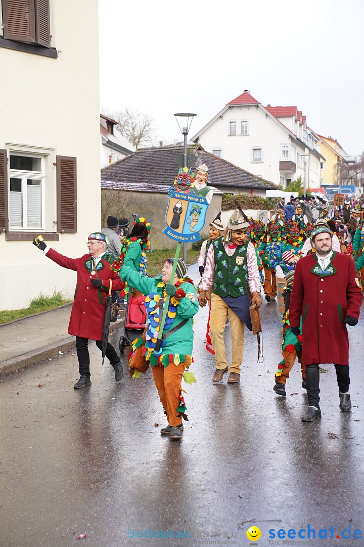 Fasnetsumzug: Heiligenberg am Bodensee, 08.01.2023