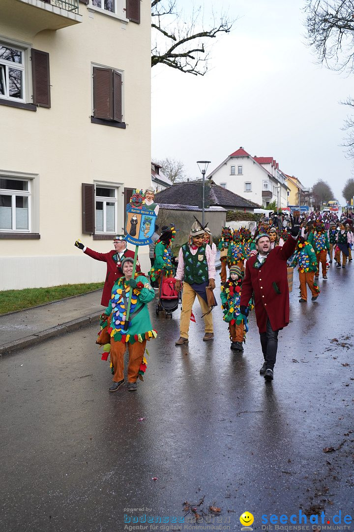 Fasnetsumzug: Heiligenberg am Bodensee, 08.01.2023