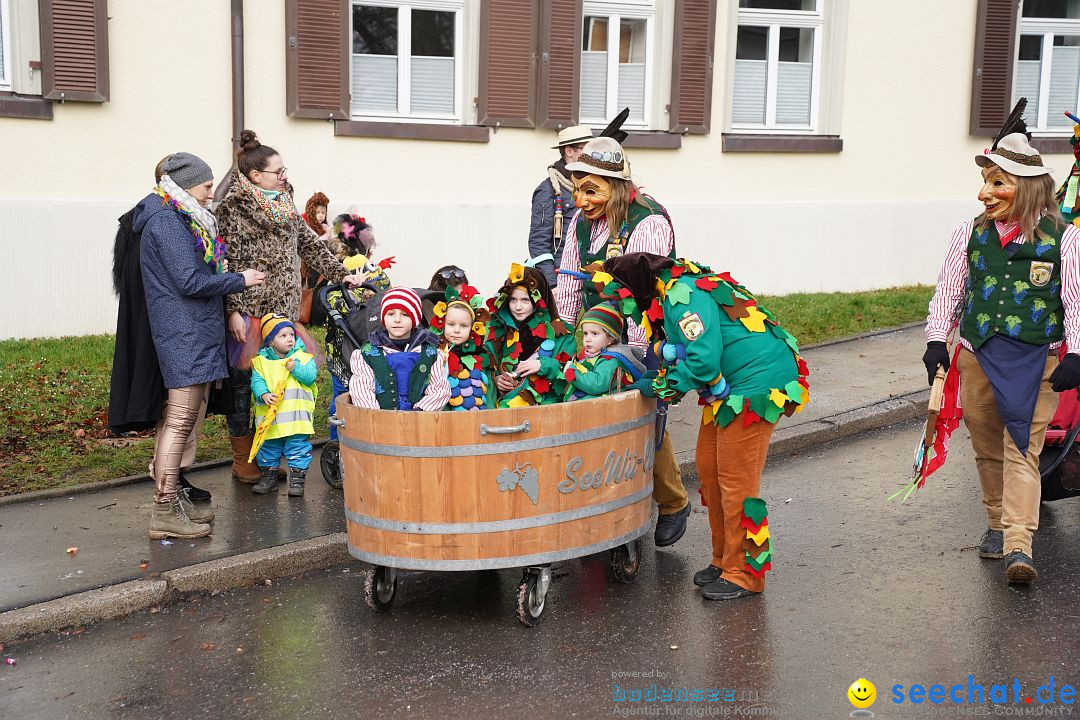 Fasnetsumzug: Heiligenberg am Bodensee, 08.01.2023