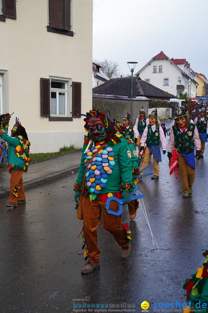 Fasnetsumzug: Heiligenberg am Bodensee, 08.01.2023