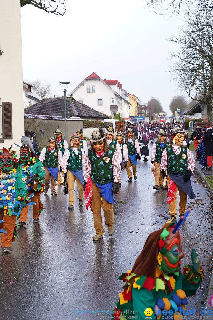 Fasnetsumzug: Heiligenberg am Bodensee, 08.01.2023