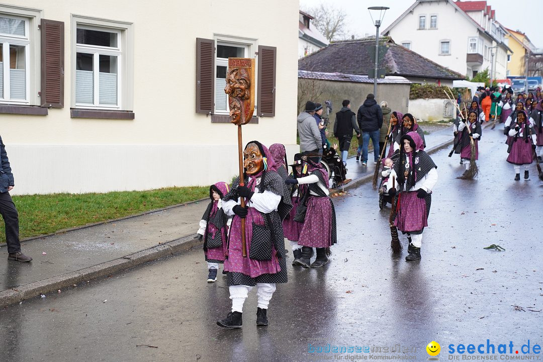 Fasnetsumzug: Heiligenberg am Bodensee, 08.01.2023