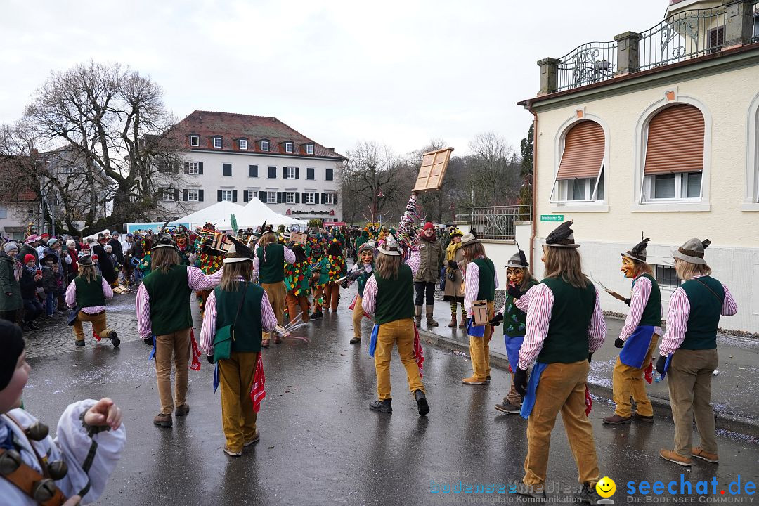 Fasnetsumzug: Heiligenberg am Bodensee, 08.01.2023