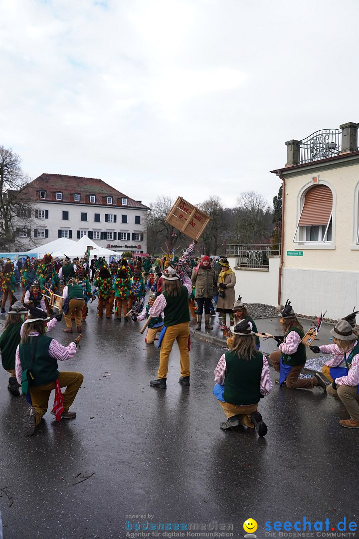 Fasnetsumzug: Heiligenberg am Bodensee, 08.01.2023