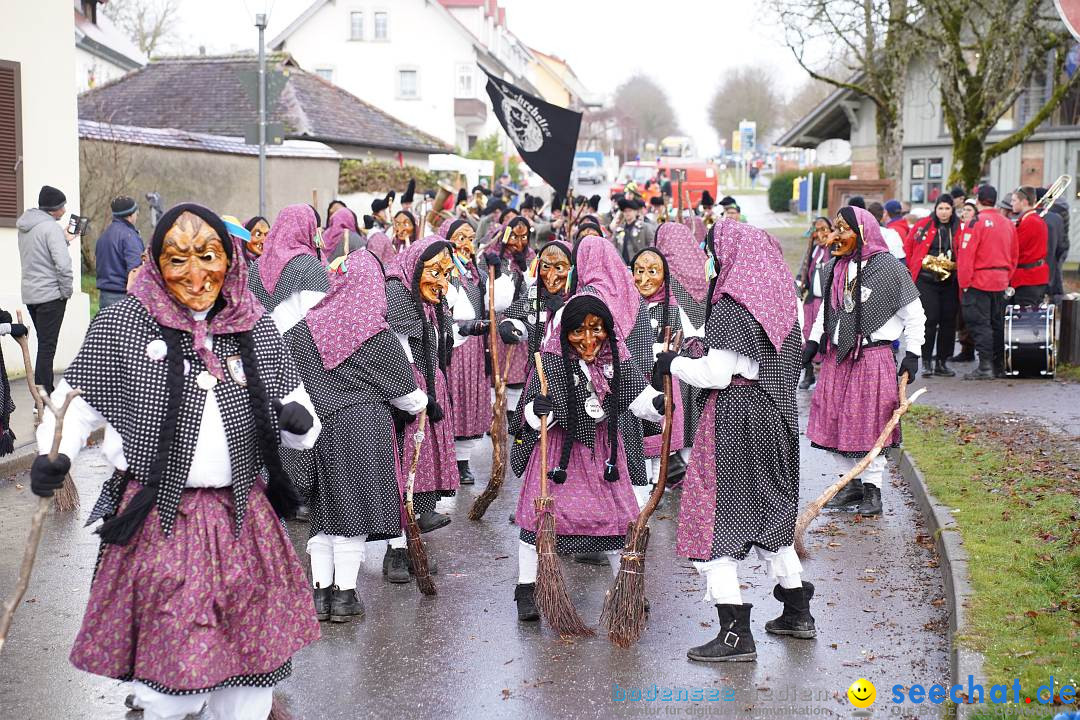 Fasnetsumzug: Heiligenberg am Bodensee, 08.01.2023