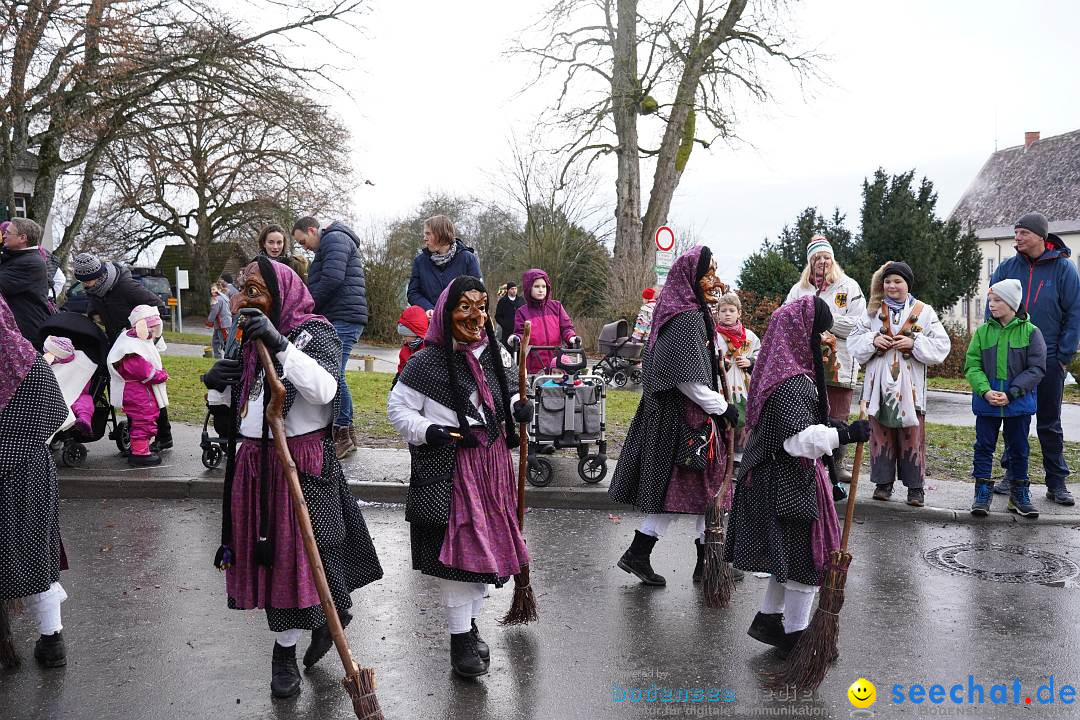 Fasnetsumzug: Heiligenberg am Bodensee, 08.01.2023