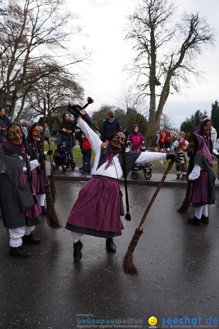 Fasnetsumzug: Heiligenberg am Bodensee, 08.01.2023