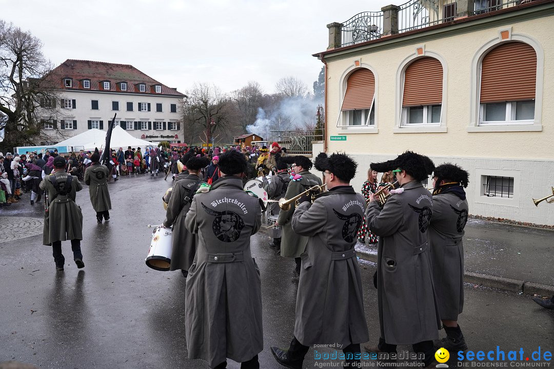 Fasnetsumzug: Heiligenberg am Bodensee, 08.01.2023