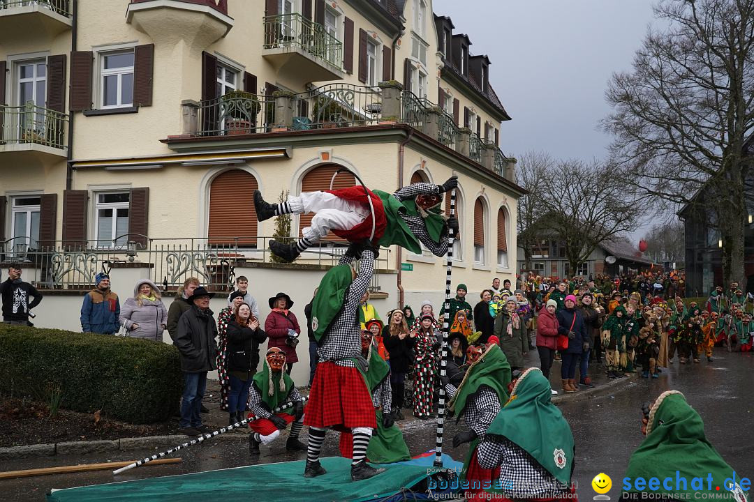 Fasnetsumzug: Heiligenberg am Bodensee, 08.01.2023