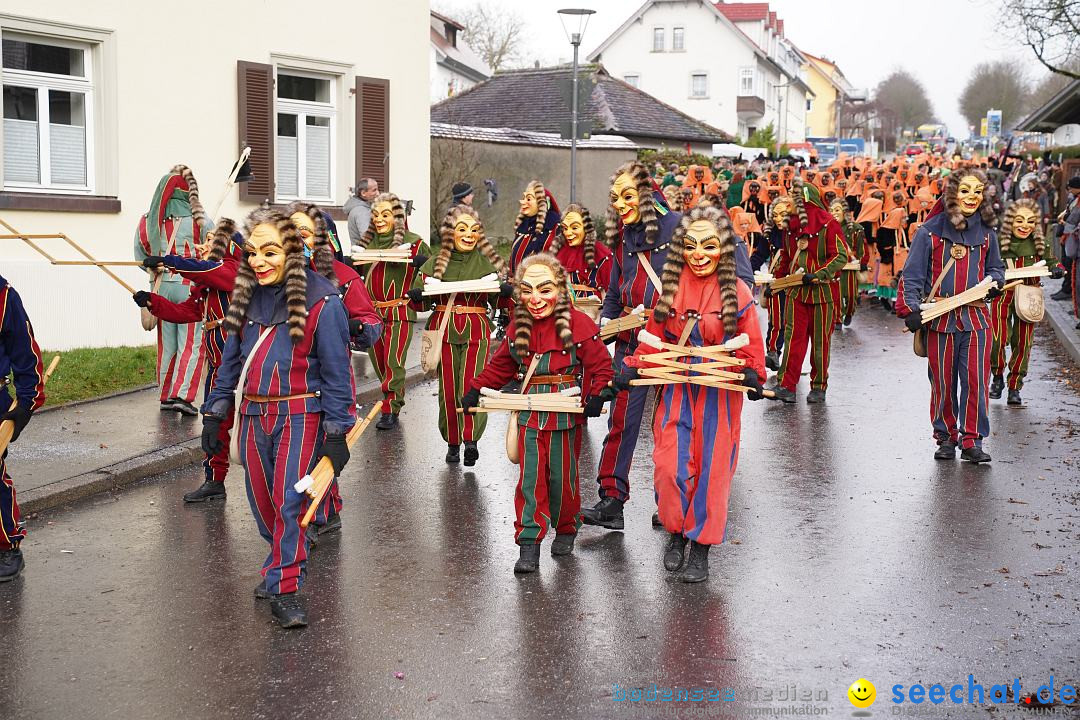 Fasnetsumzug: Heiligenberg am Bodensee, 08.01.2023