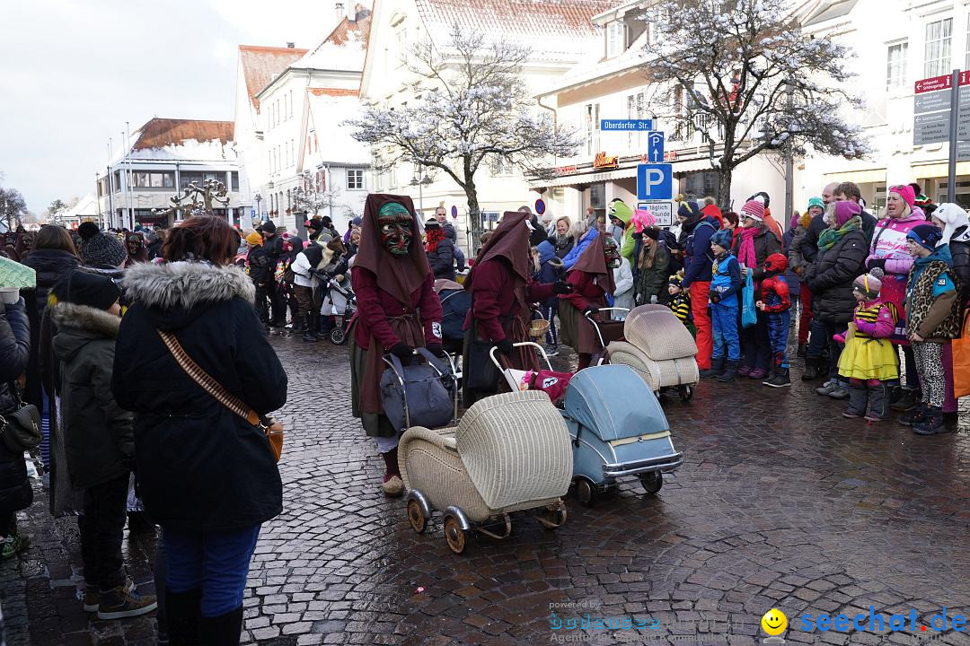 Narrenumzug: Langenargen am Bodensee, 22.01.2023