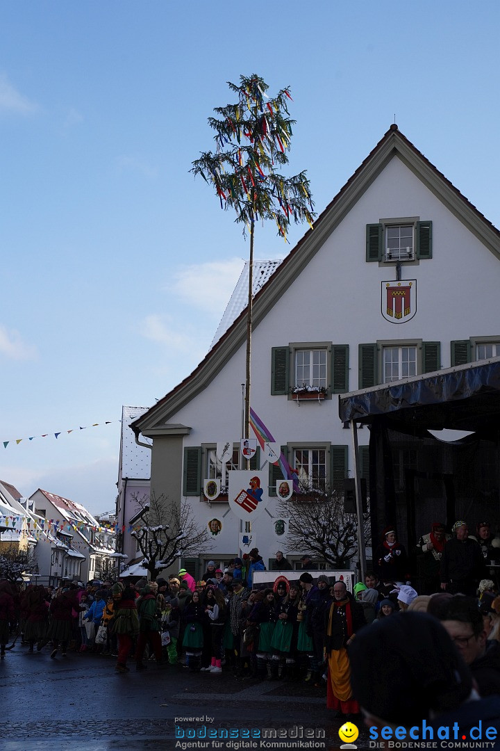 Narrenumzug: Langenargen am Bodensee, 22.01.2023