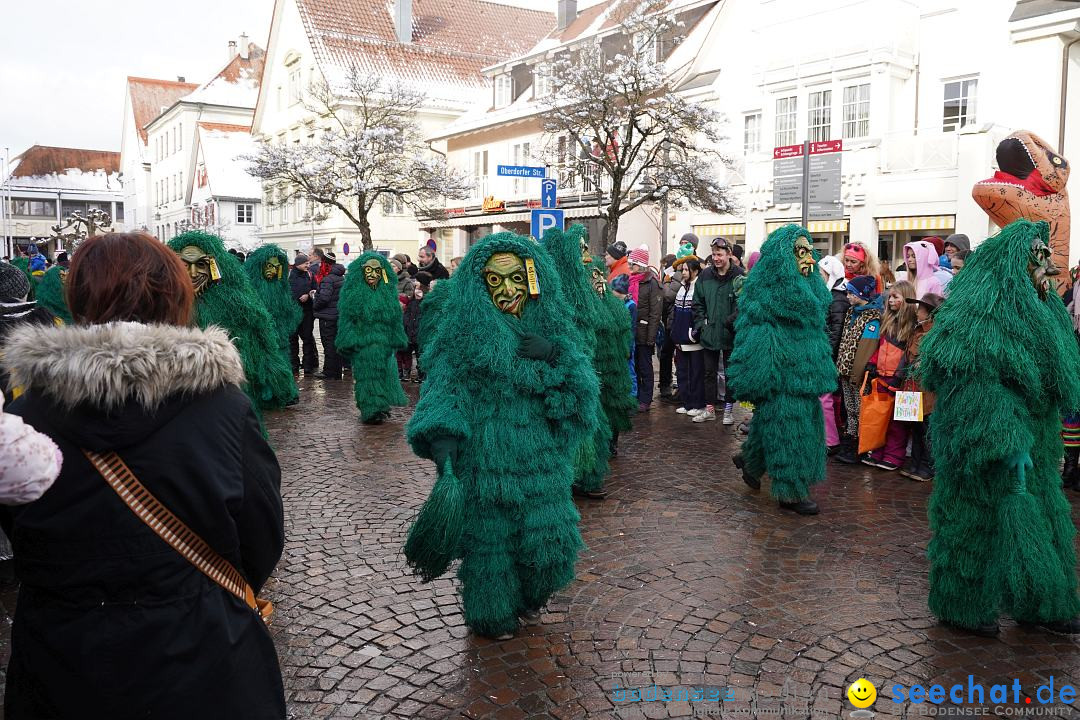 Narrenumzug: Langenargen am Bodensee, 22.01.2023