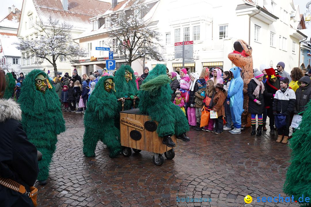 Narrenumzug: Langenargen am Bodensee, 22.01.2023