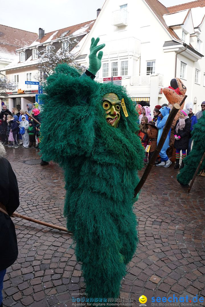 Narrenumzug: Langenargen am Bodensee, 22.01.2023