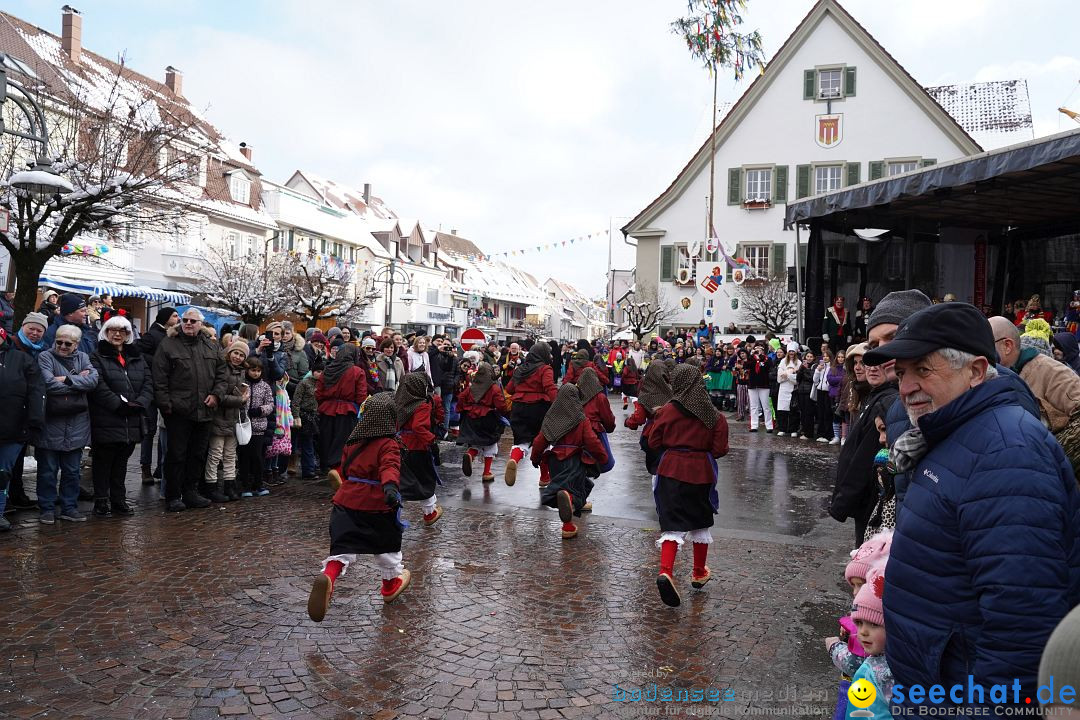 Narrenumzug: Langenargen am Bodensee, 22.01.2023