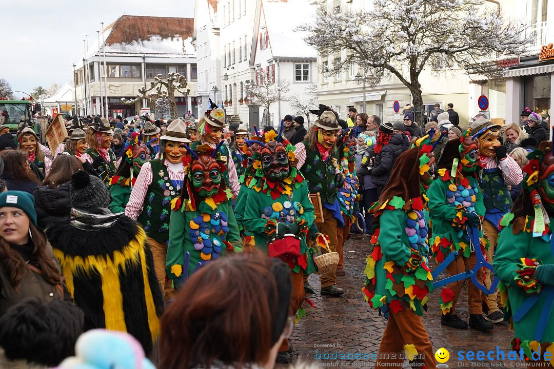 Narrenumzug: Langenargen am Bodensee, 22.01.2023