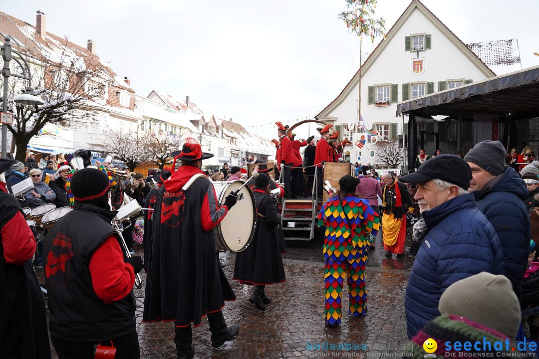 Narrenumzug: Langenargen am Bodensee, 22.01.2023