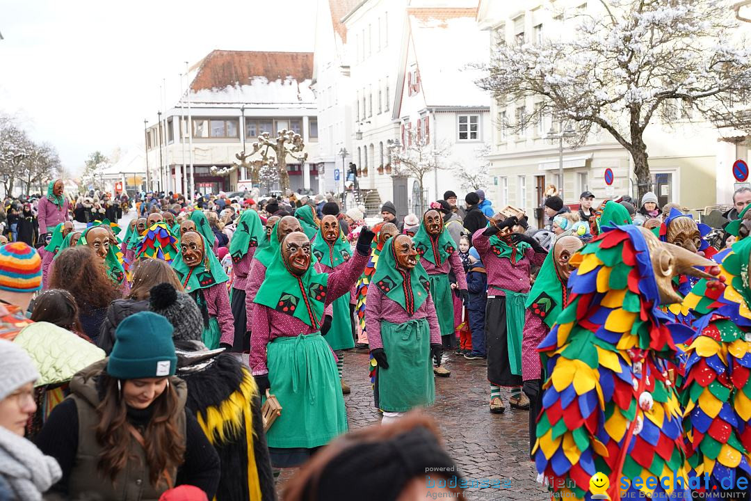 Narrenumzug: Langenargen am Bodensee, 22.01.2023