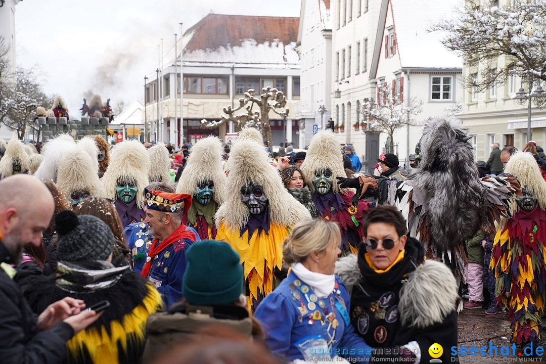 Narrenumzug: Langenargen am Bodensee, 22.01.2023