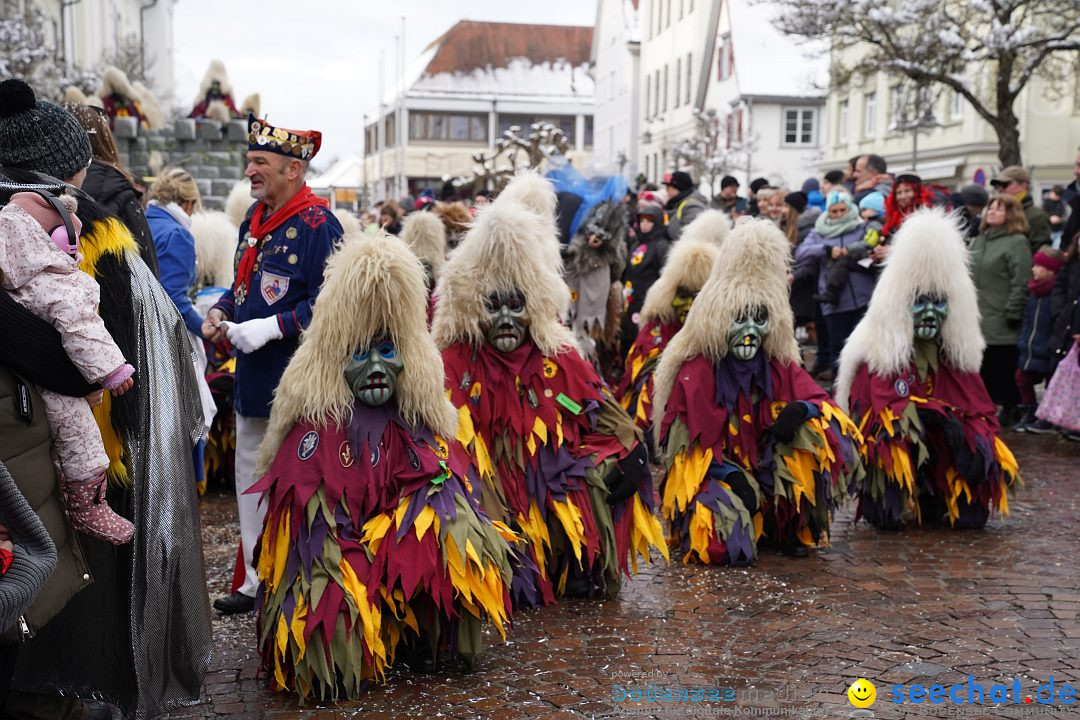 Narrenumzug: Langenargen am Bodensee, 22.01.2023