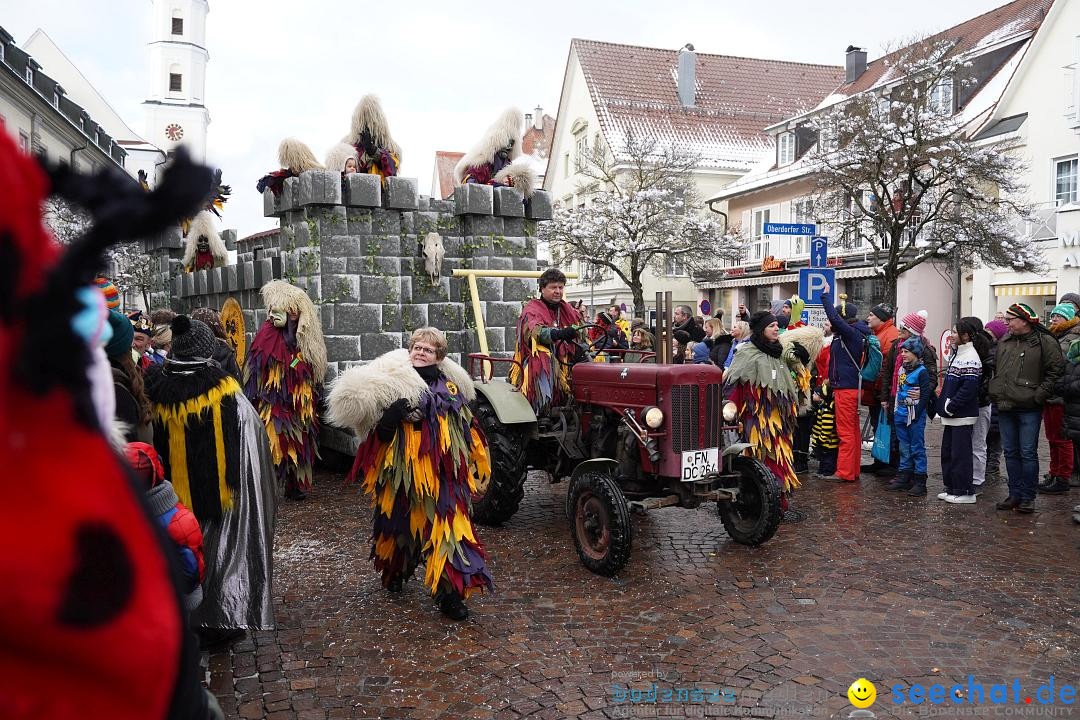 Narrenumzug: Langenargen am Bodensee, 22.01.2023