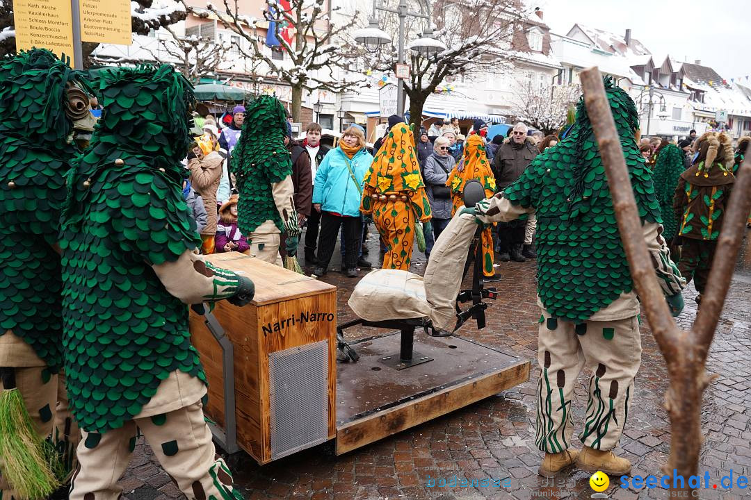 Narrenumzug: Langenargen am Bodensee, 22.01.2023