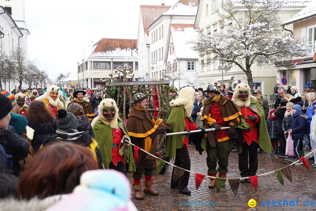 Narrenumzug: Langenargen am Bodensee, 22.01.2023