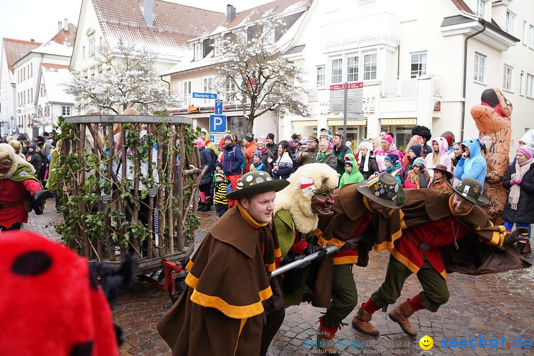 Narrenumzug: Langenargen am Bodensee, 22.01.2023