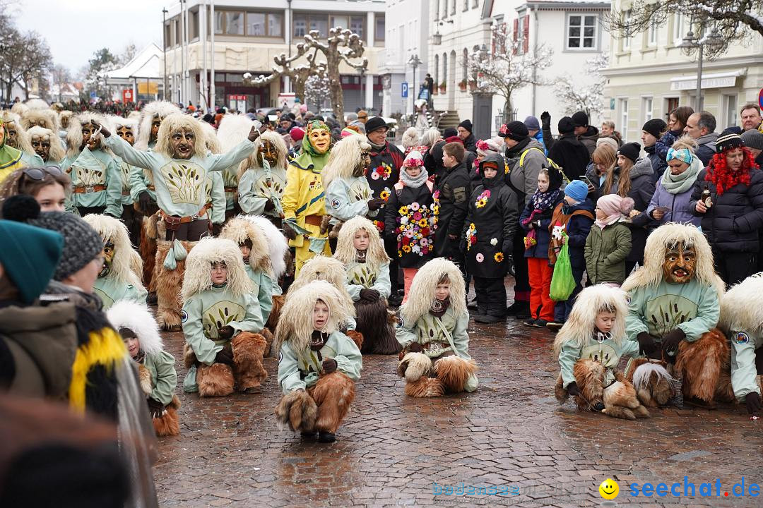 Narrenumzug: Langenargen am Bodensee, 22.01.2023