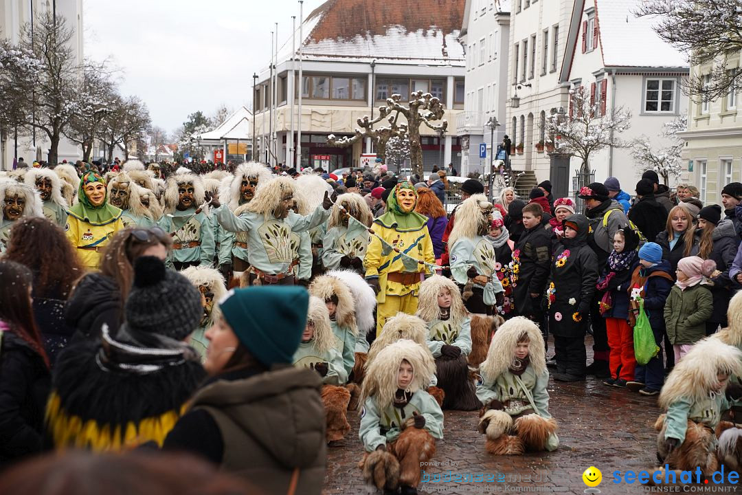 Narrenumzug: Langenargen am Bodensee, 22.01.2023