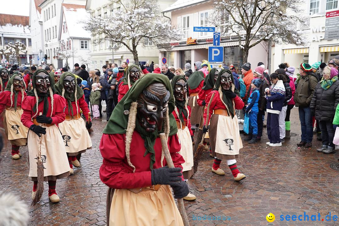 Narrenumzug: Langenargen am Bodensee, 22.01.2023