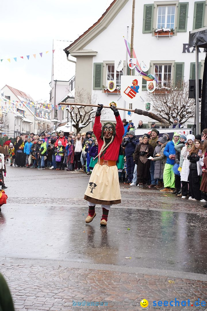 Narrenumzug: Langenargen am Bodensee, 22.01.2023