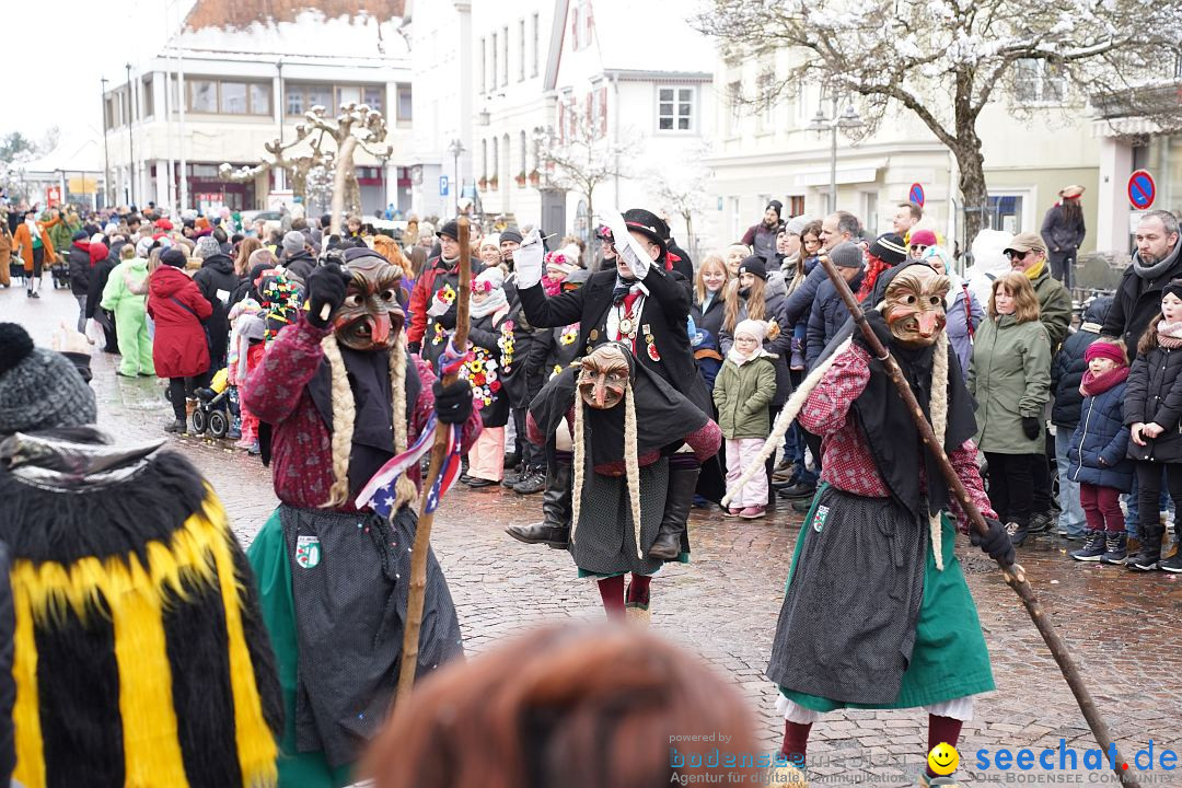 Narrenumzug: Langenargen am Bodensee, 22.01.2023