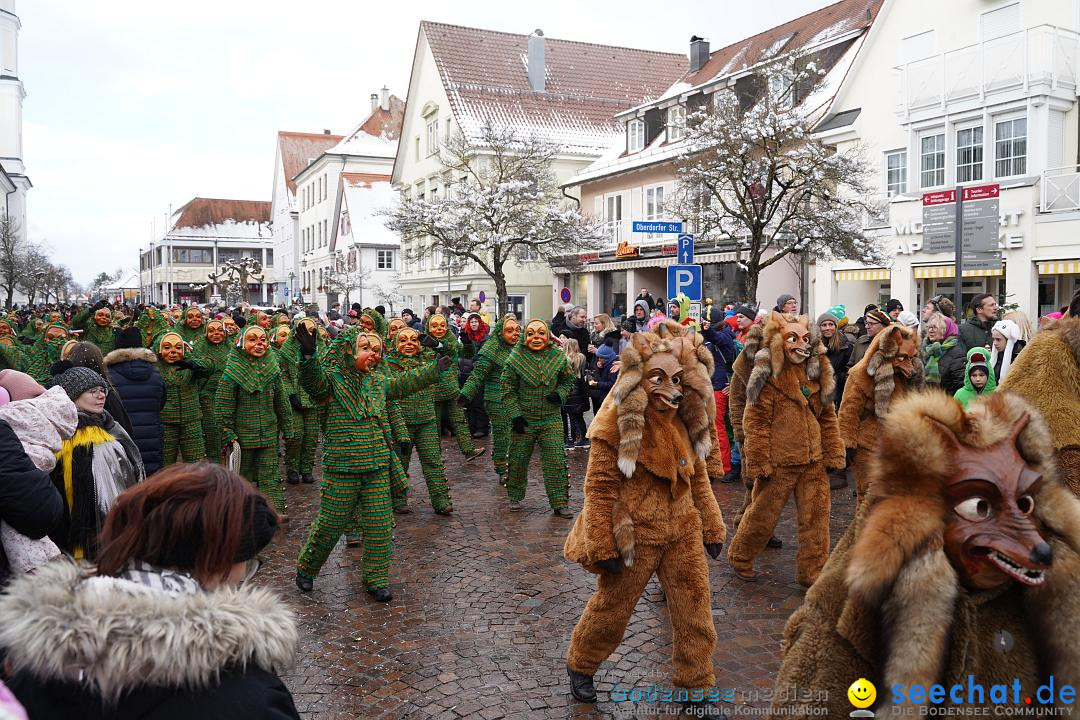 Narrenumzug: Langenargen am Bodensee, 22.01.2023