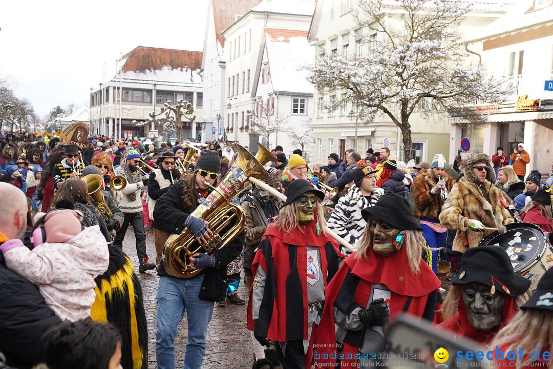 Narrenumzug: Langenargen am Bodensee, 22.01.2023