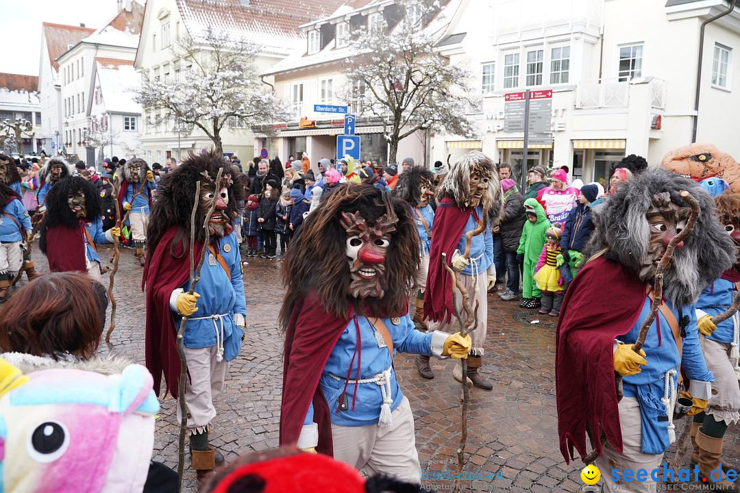 Narrenumzug: Langenargen am Bodensee, 22.01.2023