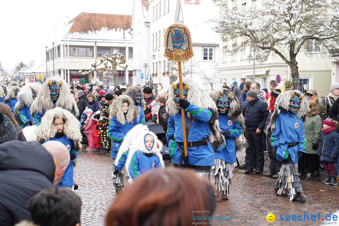 Narrenumzug: Langenargen am Bodensee, 22.01.2023