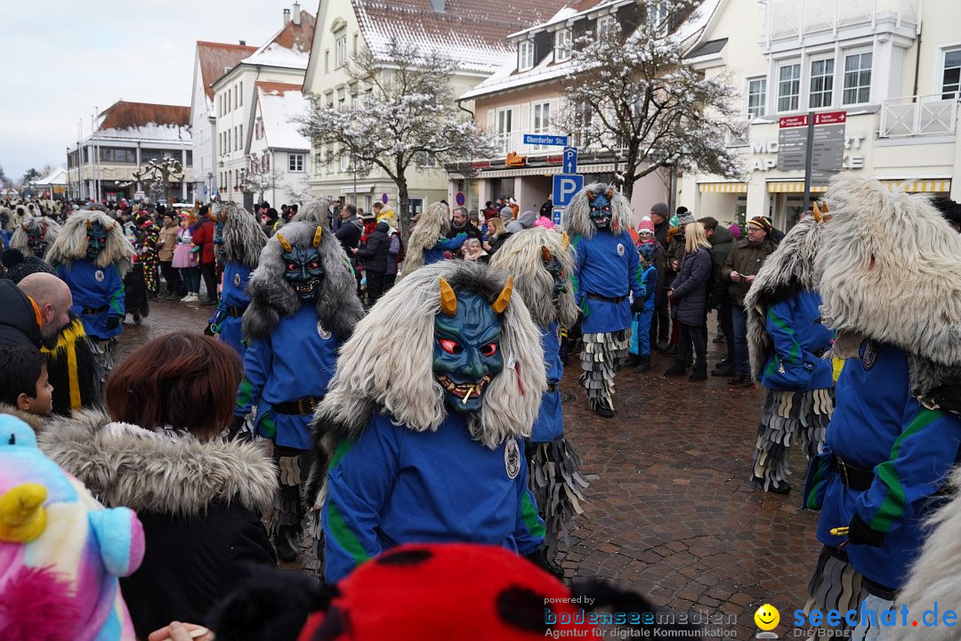 Narrenumzug: Langenargen am Bodensee, 22.01.2023