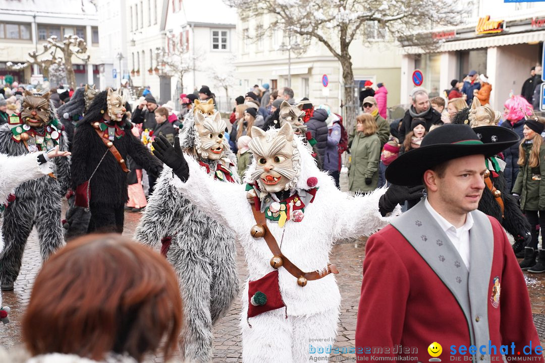 Narrenumzug: Langenargen am Bodensee, 22.01.2023