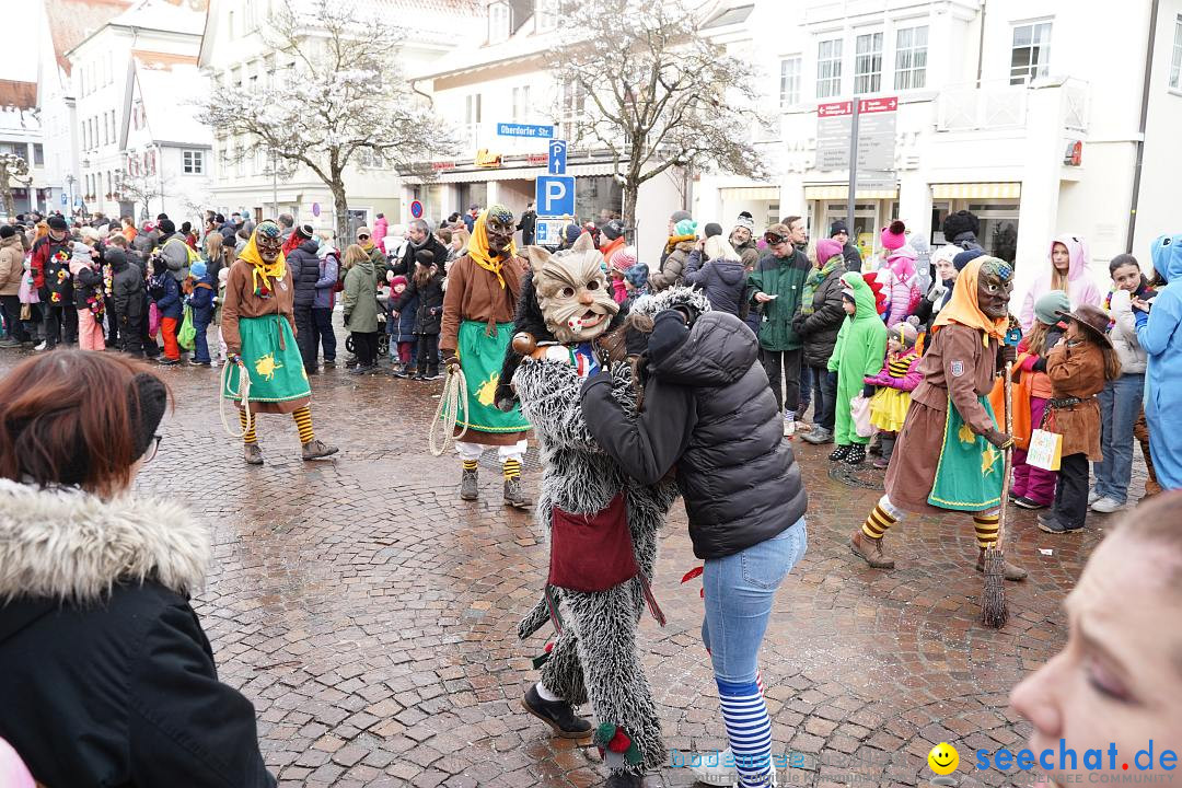 Narrenumzug: Langenargen am Bodensee, 22.01.2023