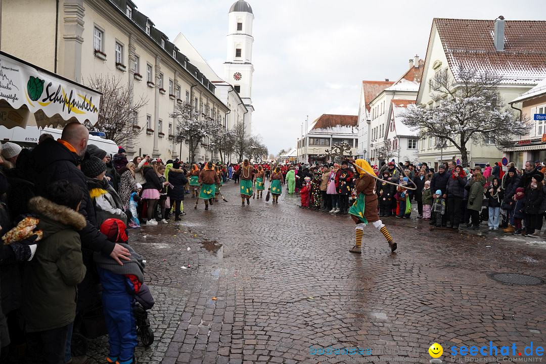 Narrenumzug: Langenargen am Bodensee, 22.01.2023